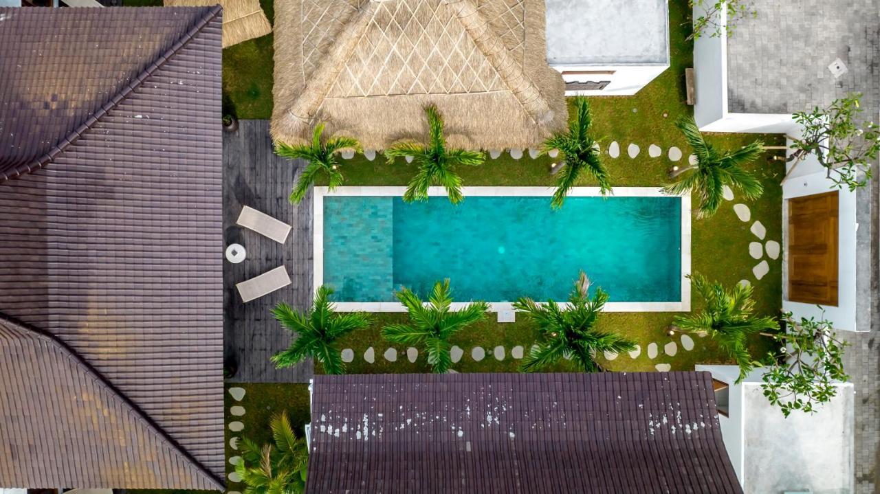 Mimpi By Alfred In Bali